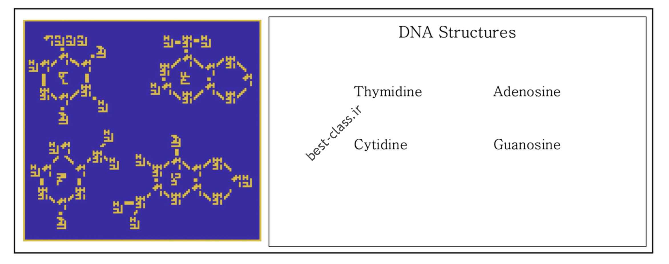 پیام ساختار DNA به فرازمینی ها